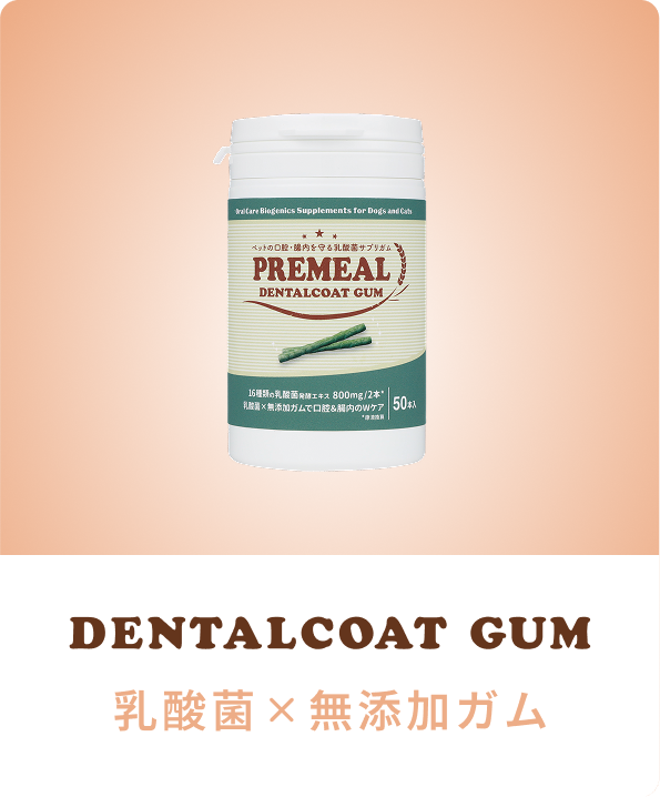 DENTALCOAT GUM