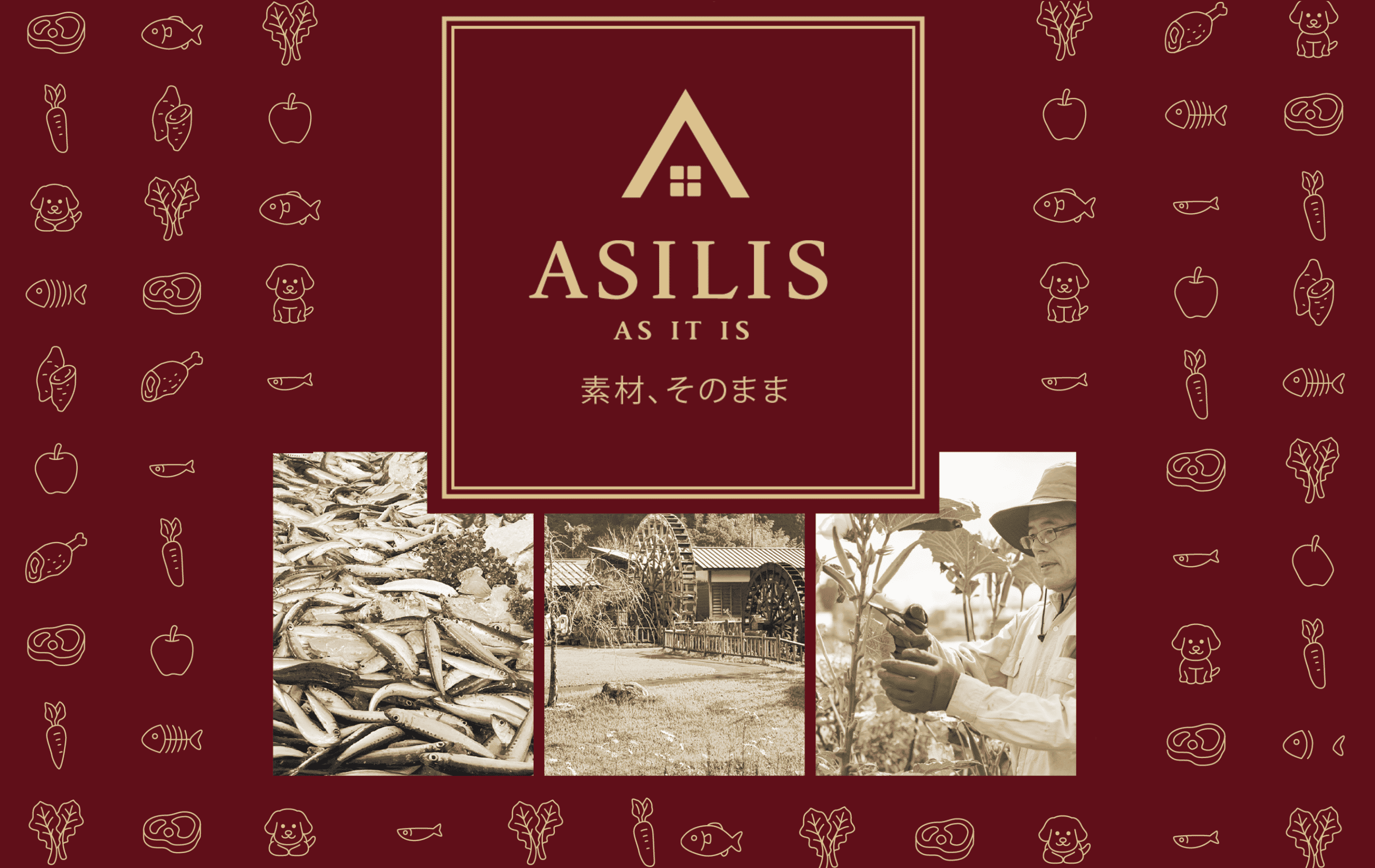 ASILIS