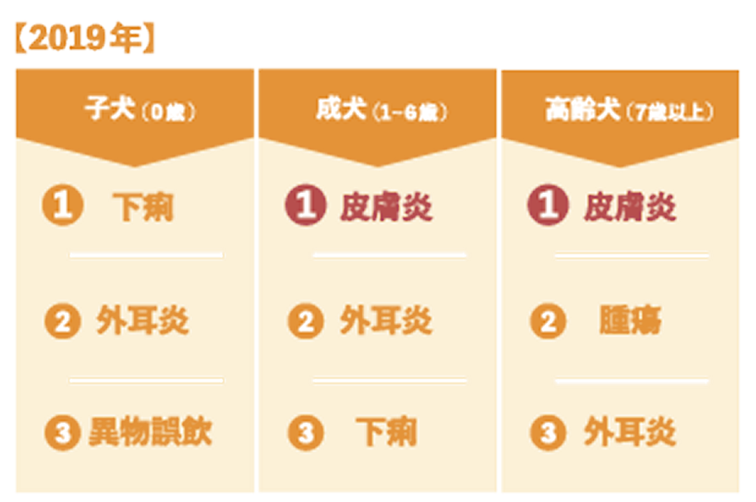 傷病ランキングの図表
