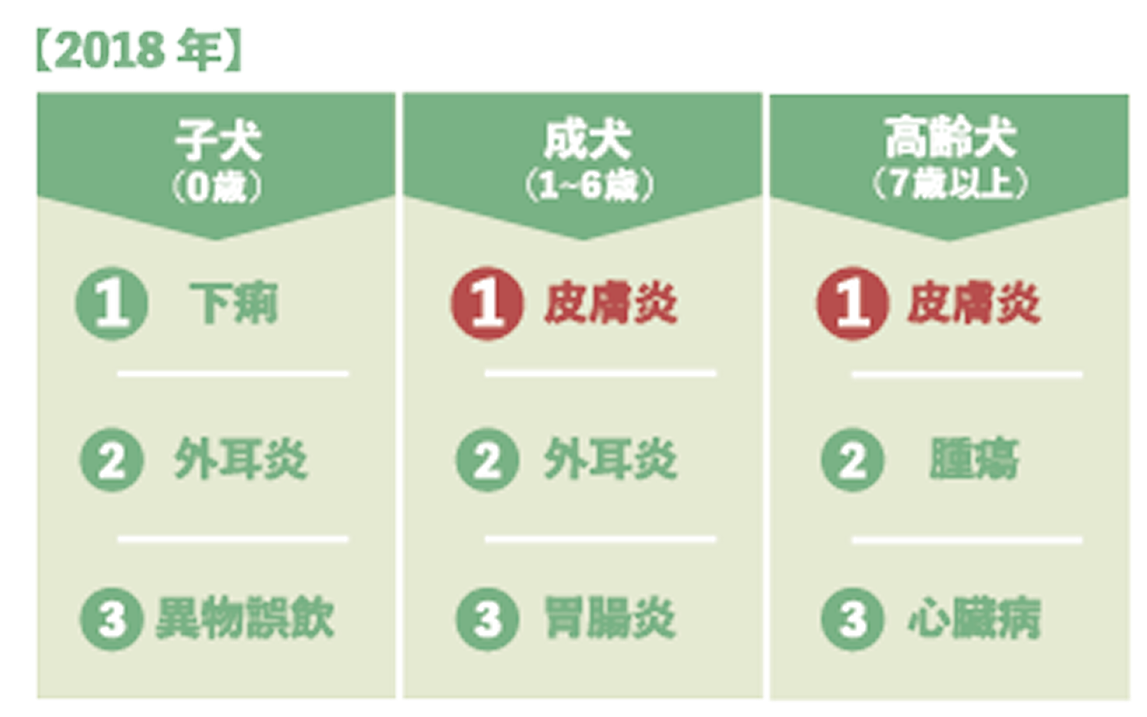 傷病ランキングの図表